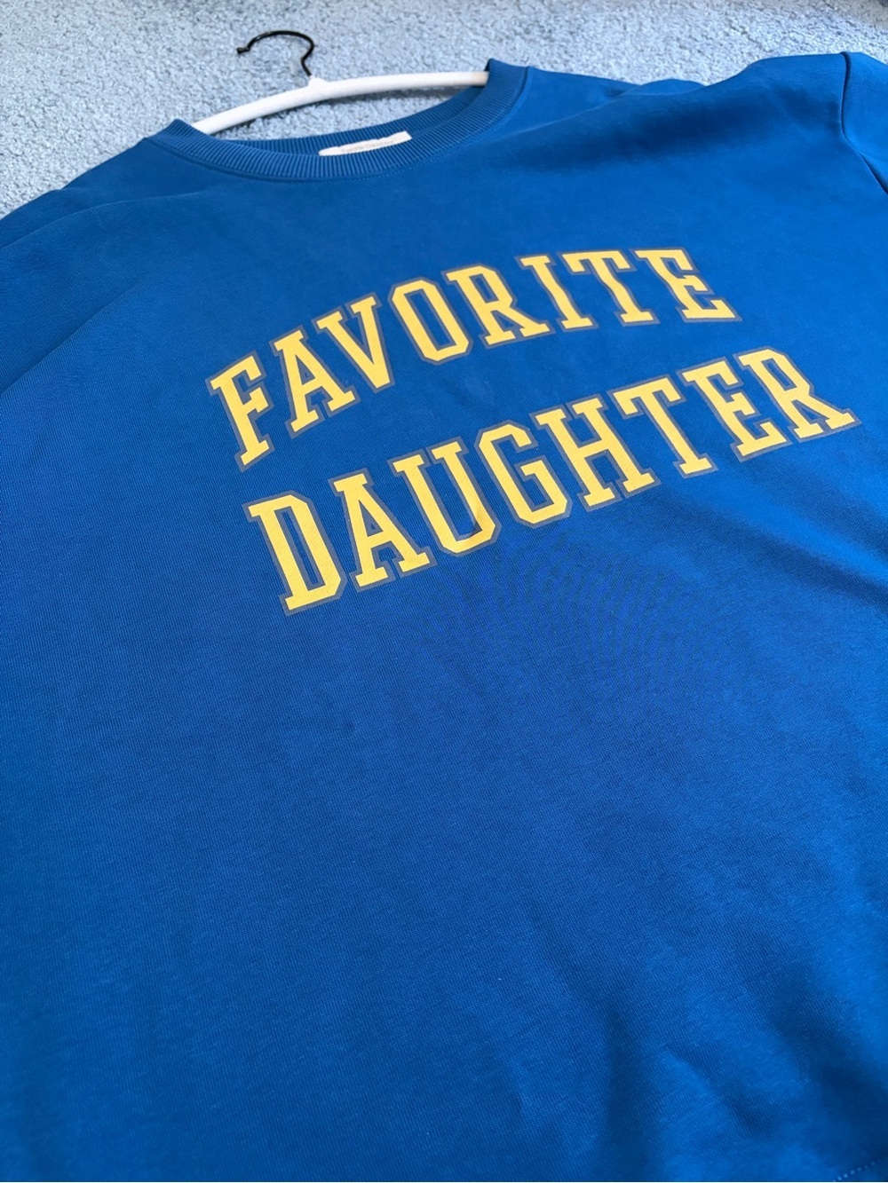 Favorite Daughter Oversized Sweatshirt | Sapphire S (sold out) - Picture 13 of 15